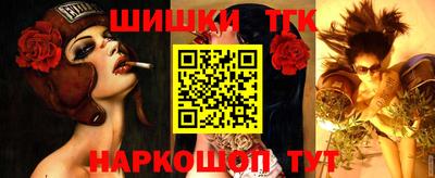 гашик Моздок