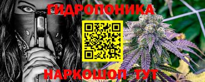 гашик Моздок