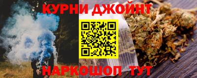 гашик Моздок