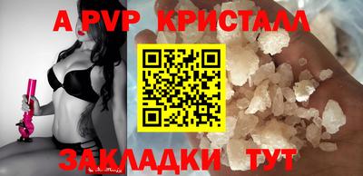 гашик Моздок