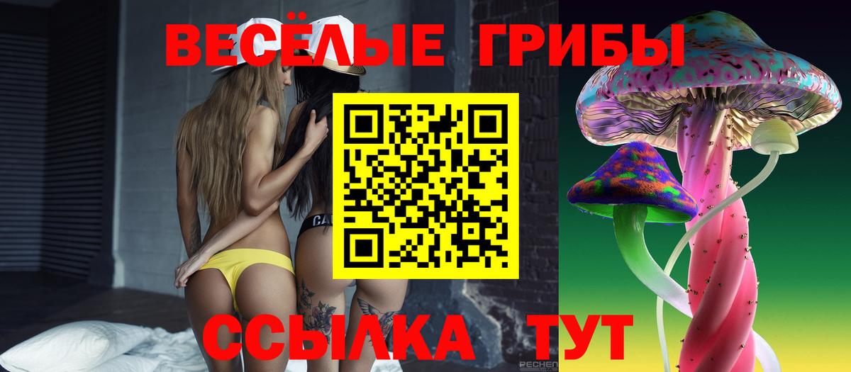 Галлюциногенные грибы GOLDEN TEACHER  Вход с VPN  Топки  Галлюциногенные грибы Psilocybine cubensis 